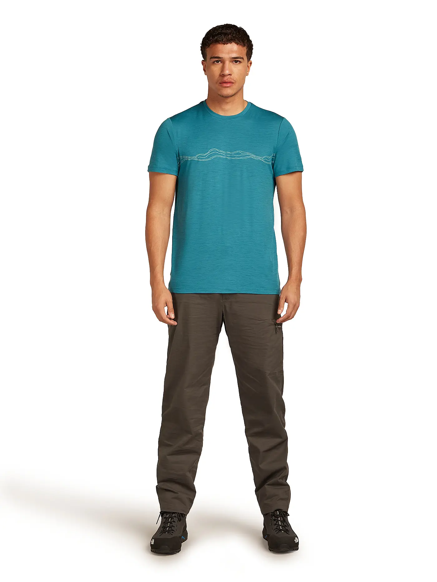 ICEBREAKER | Herren Funktionsshirt Mount Pulse 150 Tech | 